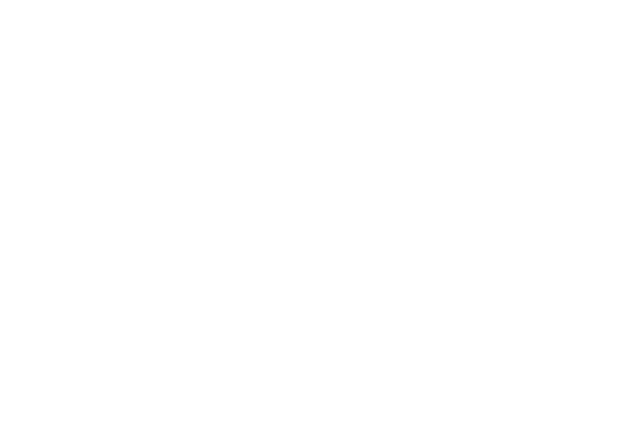 tailzaar-logo-one-color-transparent-w-full-color-rgb-900px-w-72ppi